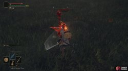 ER Recusant Henricus Fight Melee.jpg