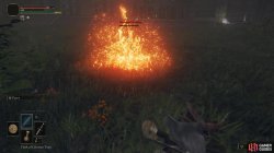 ER Recusant Henricus Fight Phase 2.jpg