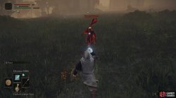 ER Recusant Henricus Fight.jpg