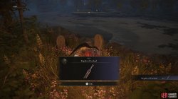 Regalia of Eochaid.jpg