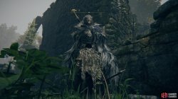 Blaidd Mistwood Ruins.jpg