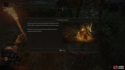 ER Teardrop Scarab Tutorial.jpg