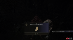 Haligtree Secret Medallion Right Pickup.png