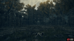 Demi Human Forest Ruins.png