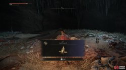 Gold Scarab.jpg