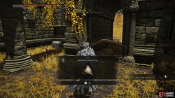Gilded Foot Soldier Cap.jpg