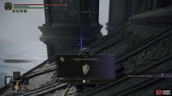 Dragoncrest Shield Talisman.jpg