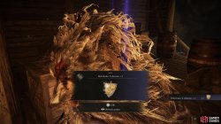 Boltdrake Talisman _1.jpg