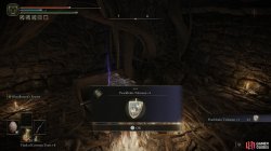Pearldrake Talisman _1.jpg
