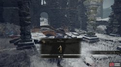 Fancy_Spin.jpg