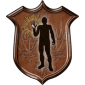 Trophy/Achievement Icon