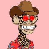User profile pic
