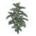 Category icon