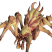 Category icon