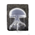 Category icon