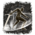 Category icon
