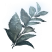 Category icon