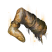 Category icon