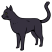 Category icon