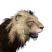 Category icon