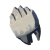 "Boss Bokoblin Fang" icon