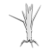 "Mandragora" icon