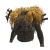 "Balahara Mail" icon
