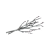 "Condor Cedar" icon
