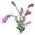 "Dittany Leaves" icon