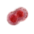 "Lesser red mutagen" icon