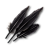 "Feather" icon