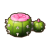 "Desert Cactus" icon