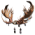 "Shining Horned Headband" icon