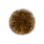"Hero's Rune [1]" icon