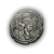 "Norgard King's Coin" icon