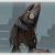 "Creature from the Deep" icon