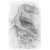 "Snake Herbalist" icon