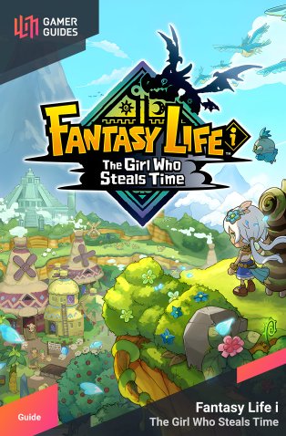 Item guide cover