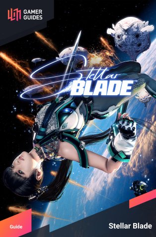 Guide cover