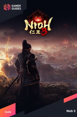Guide cover