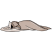 Category icon