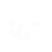 Category icon
