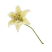 Category icon