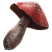 Category icon