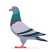 Category icon