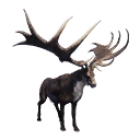 Item icon