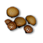 Item icon