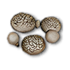 Item icon