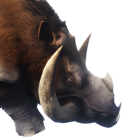 Item icon