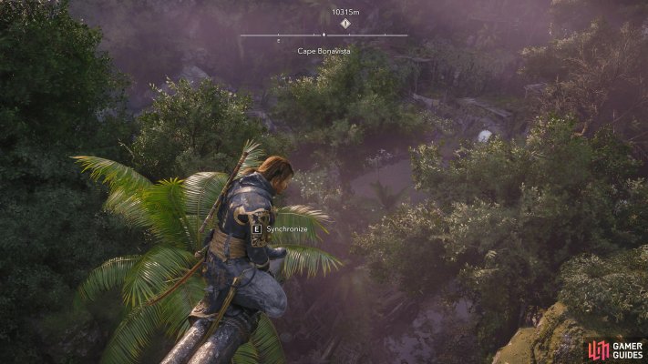 Viewpoint